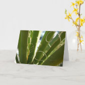 Carte Photographie de la nature verte Feuille du Yucca (Fleur jaune)