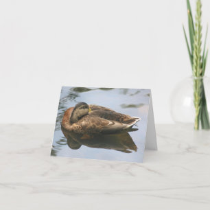 Carte Photographie de nature de canard endormi Note