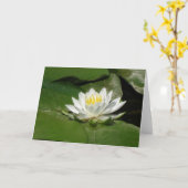 Carte Photographie de nénuphar (Fleur jaune)