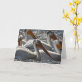 Carte Photographie de Pélicans américains vide (Fleur jaune)