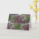 Carte Photographie de Sandcherry sans joint (Fleur jaune)