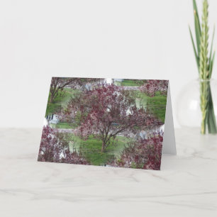 Carte Photographie de Sandcherry sans joint