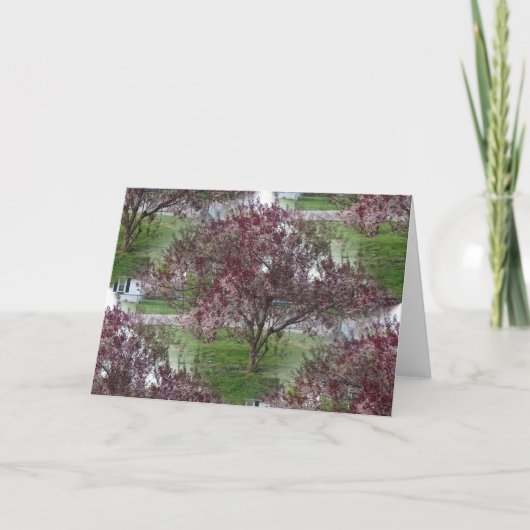 Carte Photographie de Sandcherry sans joint (Devant)