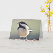 Carte Photographie de Tchickadee (Fleur jaune)