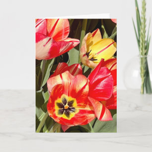 Carte Photographie de tulipes rouges et jaunes vibrantes