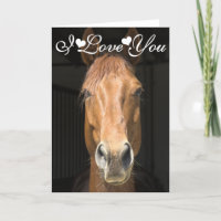 Photographie de Visage de Cheval Je T'Aime