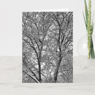 Carte Photographie des branches d'arbre enneigées en hiv