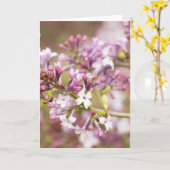 Carte Photographie des fleurs de Lilac printanières (Fleur jaune)