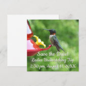 Carte Photographie d'oiseau de colibri à gorge rubis (Devant / Derrière)