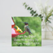 Carte Photographie d'oiseau de colibri à gorge rubis (Debout devant)