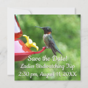 Carte Photographie d'oiseau de colibri à gorge rubis