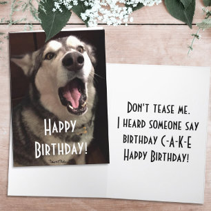 Carte Photographie drôle d'un Malamute d'Alaska qui chan