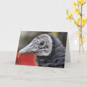 Carte Photographie du vautour noir (Fleur jaune)