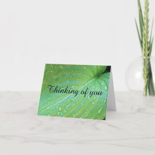 Carte Photographie Feuille Verte Qui Pense À Vous