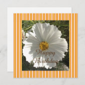 Carte Photographie florale blanche Anniversaire (Devant / Derrière)