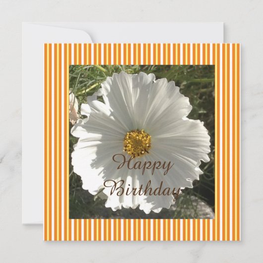Carte Photographie florale blanche Anniversaire (Devant)