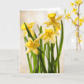 Carte Photographie florale : Daffodiles de printemps jau (Fleur jaune)