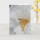 Carte Photographie florale de pivoine blanche et abeille (Fleur jaune)