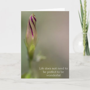 Carte Photographie Matin Glory Bud Greeting Card