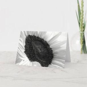 Carte Photographie noire et blanche de tournesol
