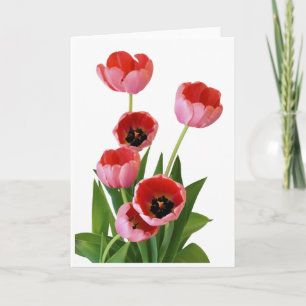 Carte Photographie rose de bouquet de tulipe de ressort