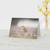 Carte photographique Robin Bird Nature (Fleur jaune)