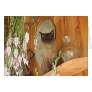 Carte photographique Siamese Chat Posing #1