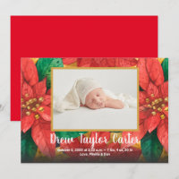 Photos de vacances Poinsettias bébé Annonces de na