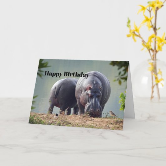 Carte Photos d'Hippo Faune (Fleur jaune)