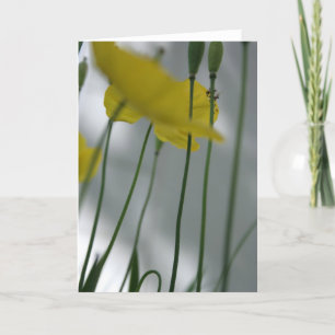 Carte Photos et ombre 8 Floral Photographie Salutation C