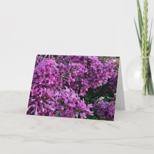 Carte Photos florales violettes lilas violet (Devant)