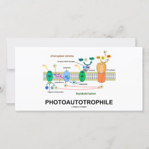 Carte Photosynthèse autotrophile