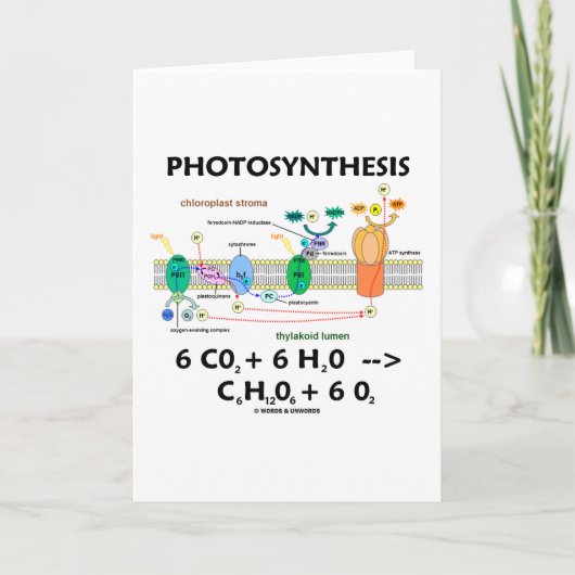 Carte Photosynthèse (dioxyde de carbone + eau) (Devant)