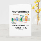 Carte Photosynthèse (dioxyde de carbone + eau) (Fleur jaune)