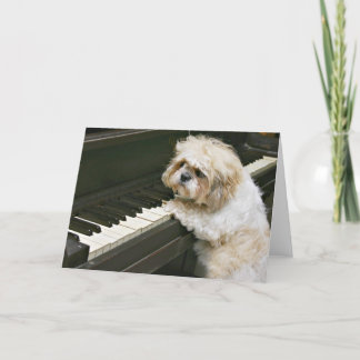 Carte piano