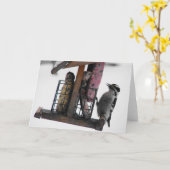 Carte Pic (Fleur jaune)