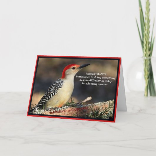 Carte Pic à ventre rouge Inspiration Persévérance (Devant)