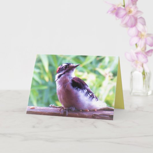 Carte Pic Downy jeune homme sur le rail (Orchidée)