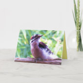 Carte Pic Downy jeune homme sur le rail (Devant)