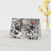 Carte Pic En Hiver (Fleur jaune)