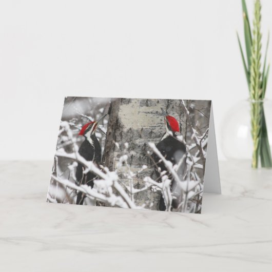 Carte Pic En Hiver (Devant)