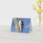 Carte Pic sur un arbre de Shagbark blanc à l'intérieur (Fleur jaune)