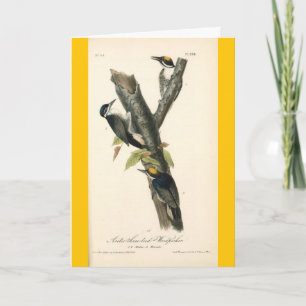 Carte - Pic Vintage - ami