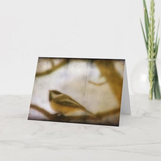 Carte Pickadee (Devant)