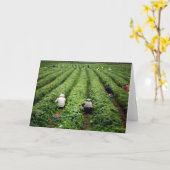 Carte Pickers à fraises (Fleur jaune)