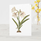Carte Picta d'amaryllis (Fleur jaune)