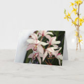 Carte Picture (Fleur jaune)