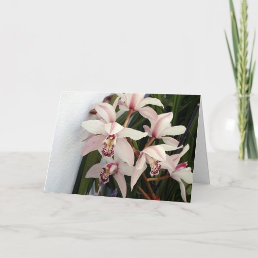 Carte Picture (Devant)