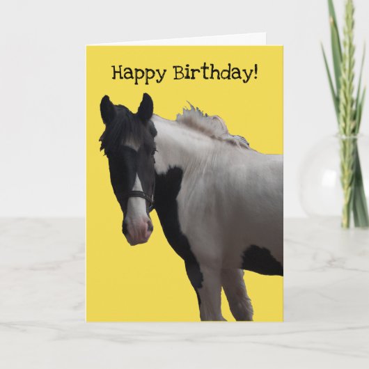 Carte Piebald Paint Pony (Devant)
