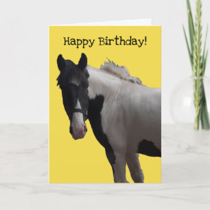 Carte Piebald Paint Pony